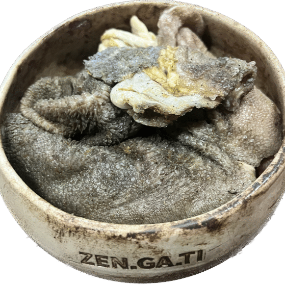 Lamm_Pansen_St._2025